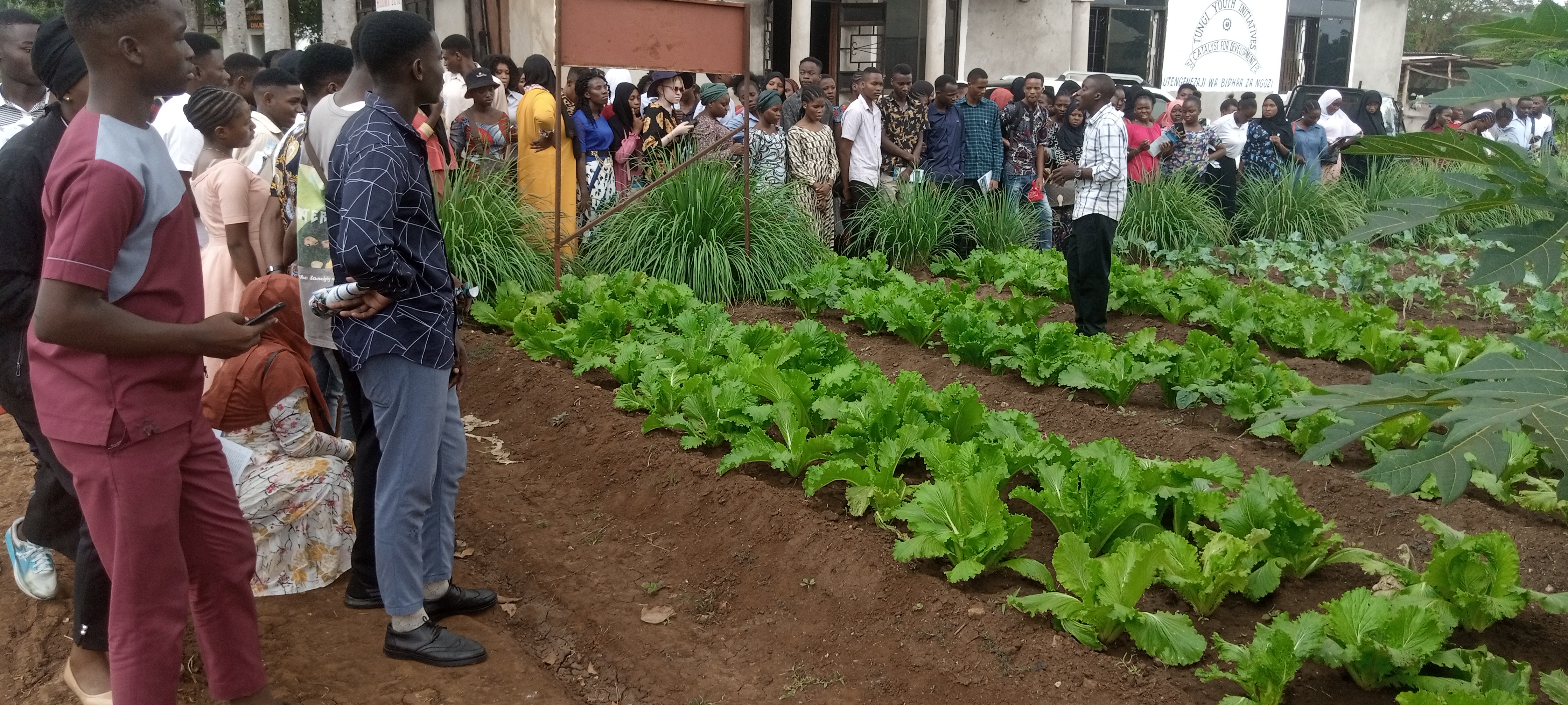 Agricultural Project