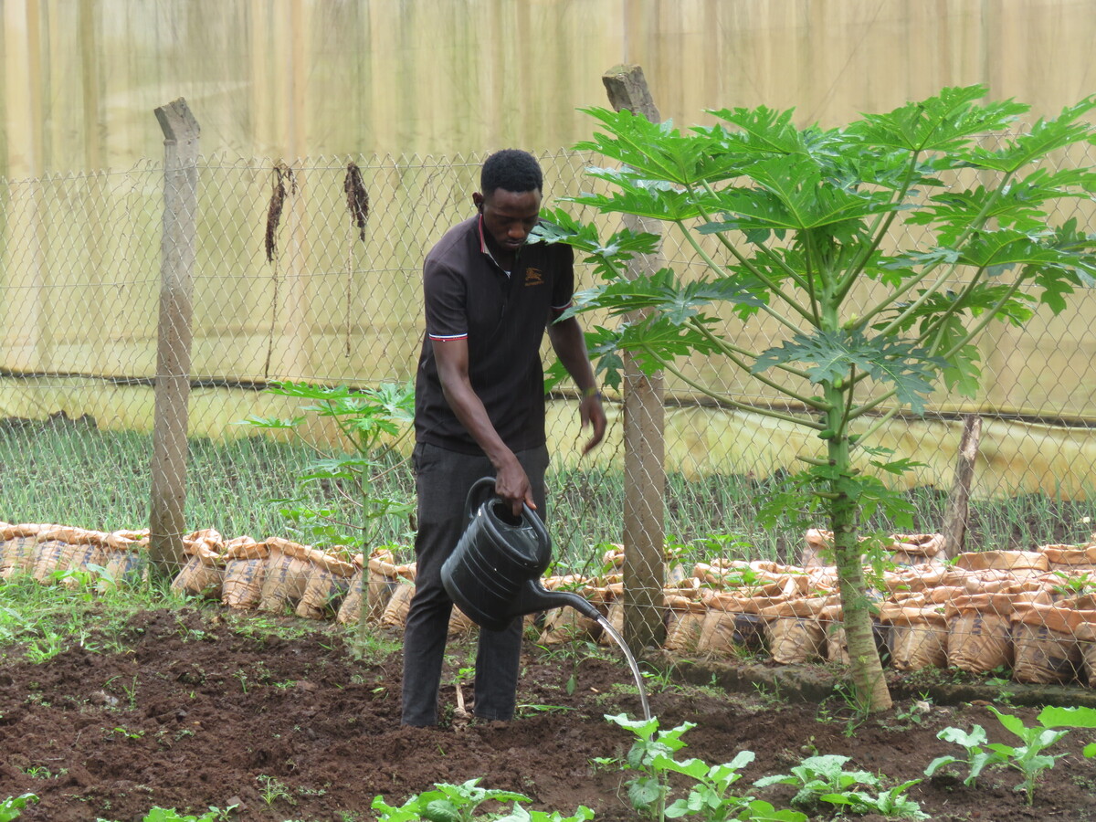 Agricultural Project